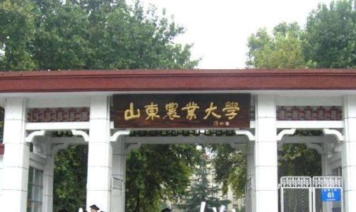 山东农业大学